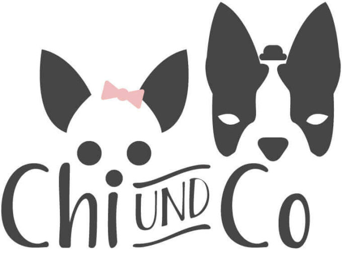 chi und co 